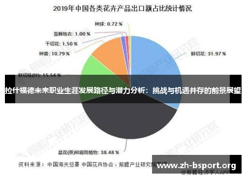 拉什福德未来职业生涯发展路径与潜力分析：挑战与机遇并存的前景展望